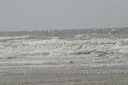 crw_5373
