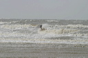 crw_5375