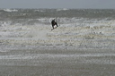 crw_5378