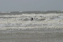 crw_5392