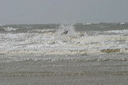 crw_5393