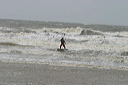 crw_5401