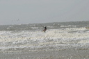 crw_5404