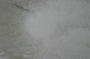 crw_5433
