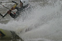 crw_5441
