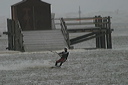 crw_5457