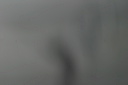 crw_5508