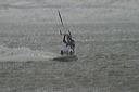 crw_5515