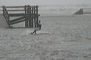 crw_5524