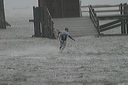 crw_5538