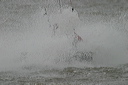 crw_5543