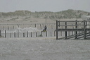 crw_5586