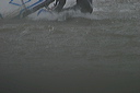 crw_5612